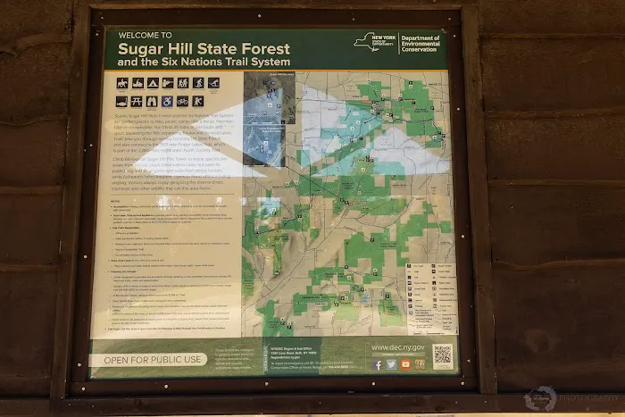 Sugar Hill Fire Tower Picture 4