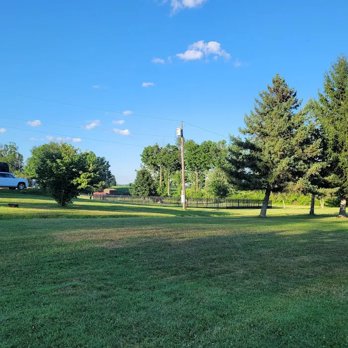Hickory Hill Camping Resort Picture 10