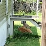 Nate's Floral Estates