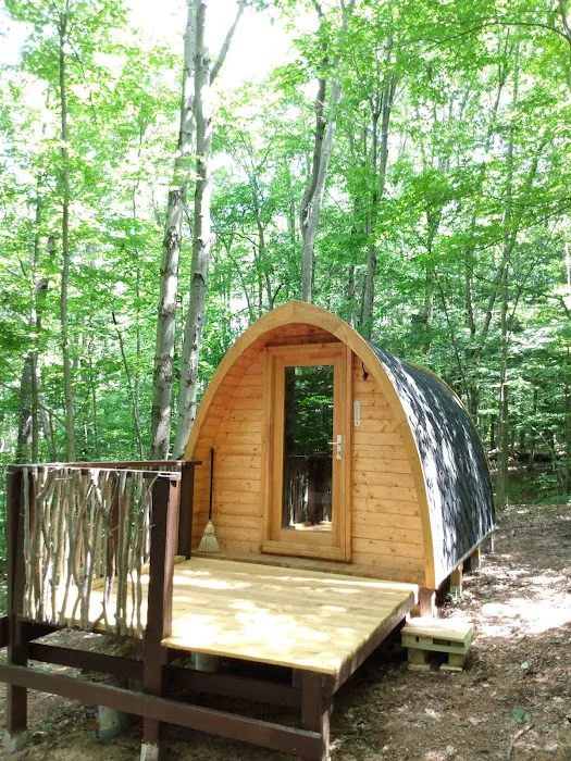 Camp Earth Connection Picture 3