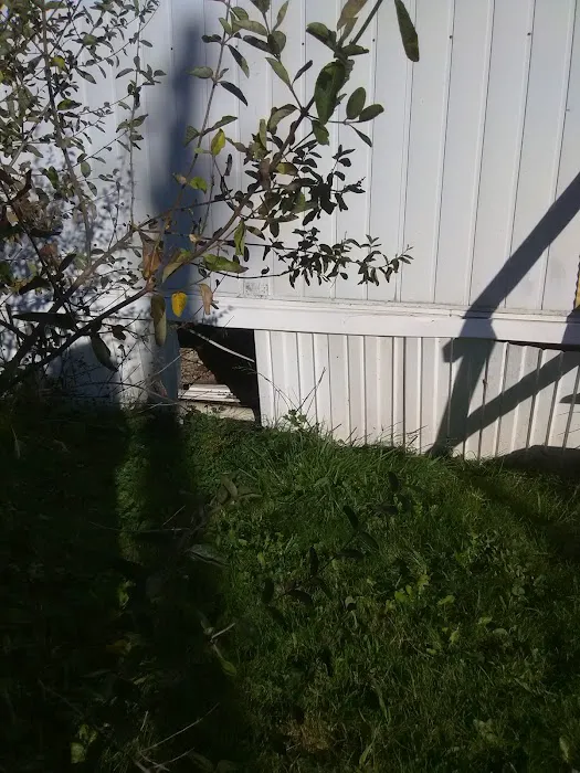 Hanshaw Village Mobile Home Park Picture 9