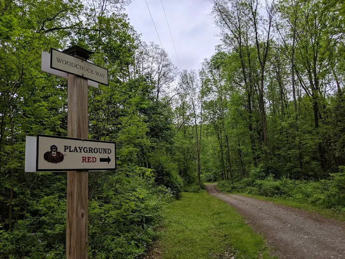 Lake Grove Park Picture 10