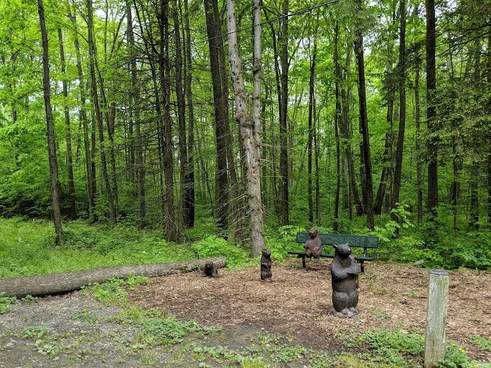 Lake Grove Park Picture 3