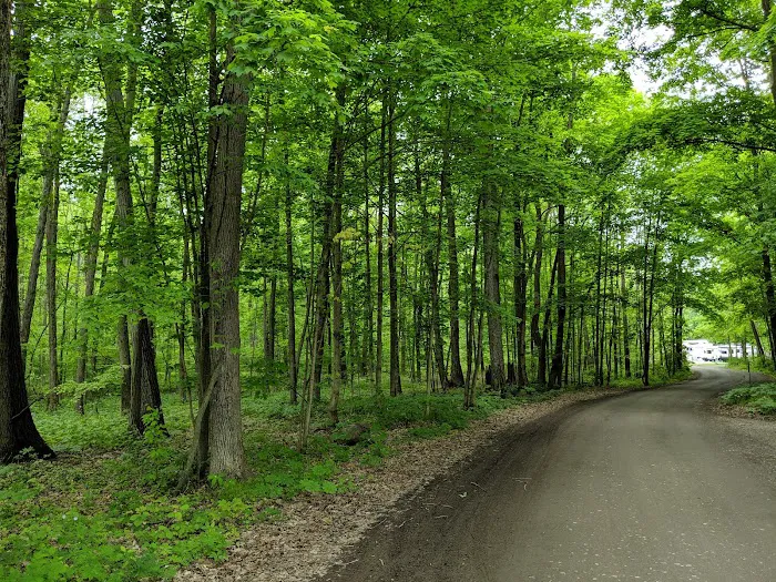 Lake Grove Park Picture 8