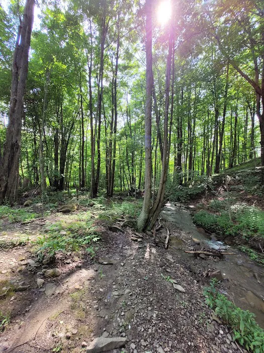 Tamarack Campgrounds Picture 3