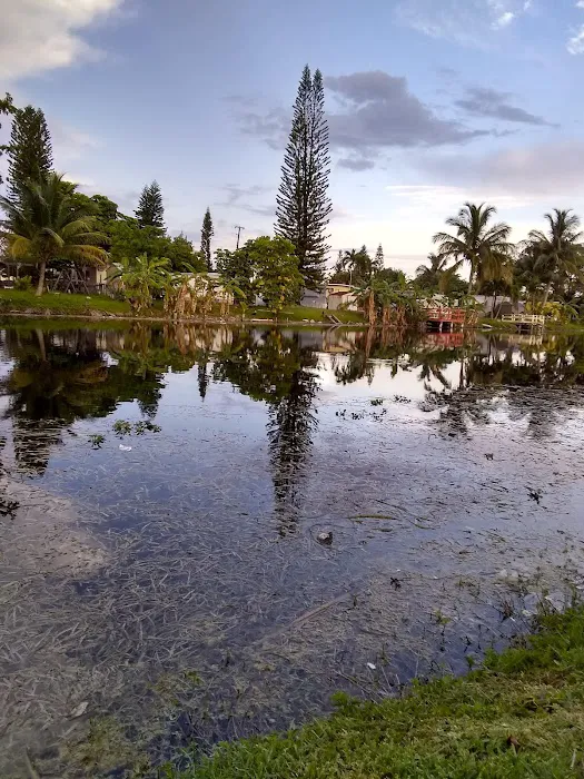 Holiday Village Mobile Home Picture 5