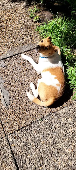 Holiday Village Mobile Home Picture 4