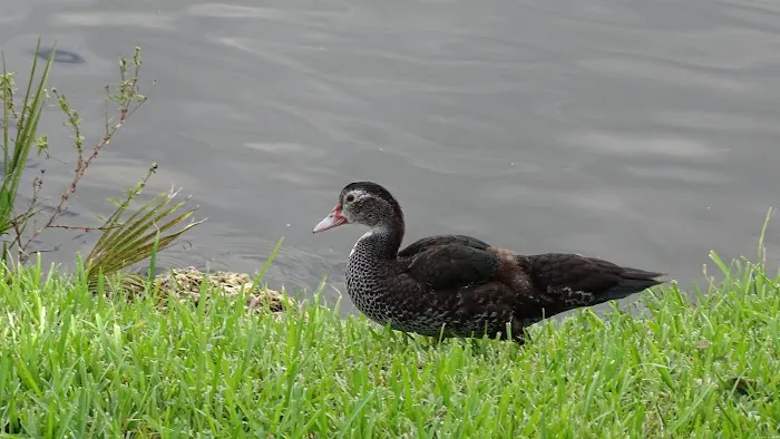 Kozy Kampers RV Park-Storage Picture 6