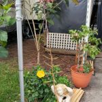 Kozy Kampers RV Park-Storage