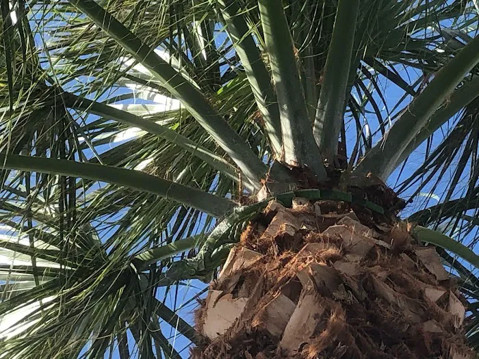 Sunshine Holiday MHCC RV and Camping Resort Picture 6