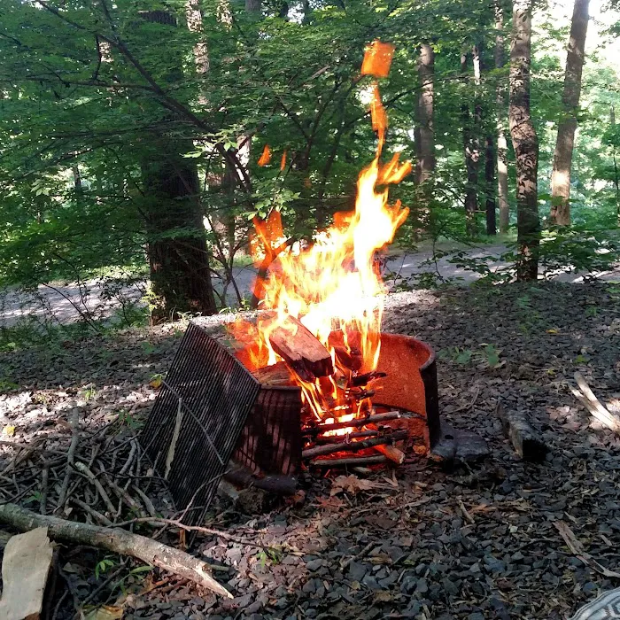 Dogwood Haven Family Campground Picture 5