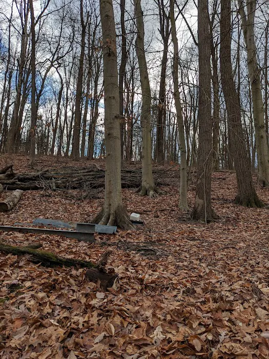 Dogwood Haven Family Campground Picture 10