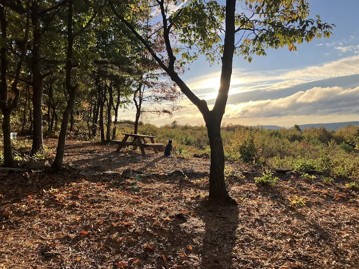 100 Mile View Camping Picture 4