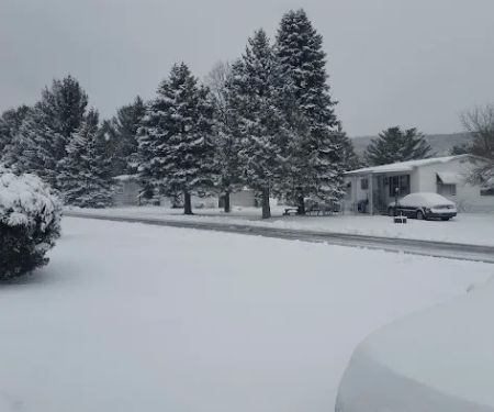 Mountain View - PA