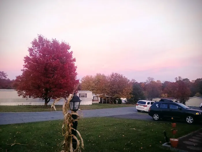Mountain View - PA Picture 4