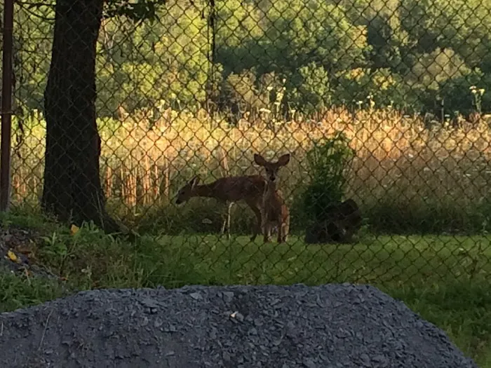 Whispering Hollow South Mobile Home Park, by Valley Community Management Picture 9