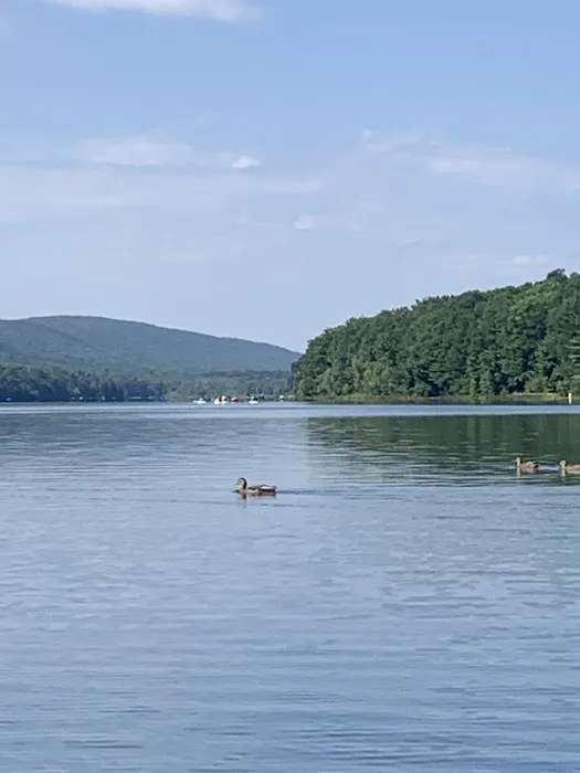 Jim Thorpe Camp Resort Picture 4