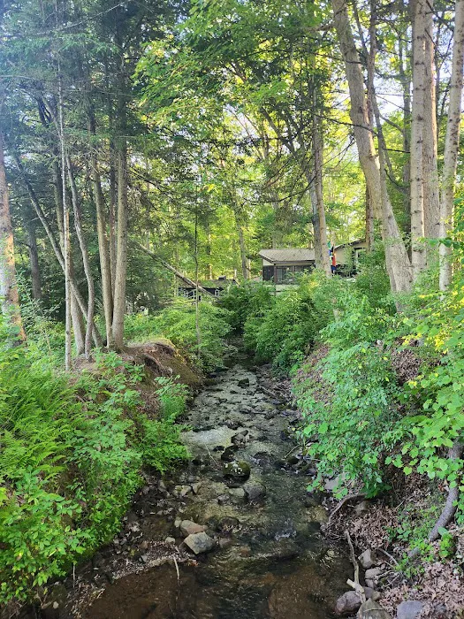The Woods Camping Resort Picture 7