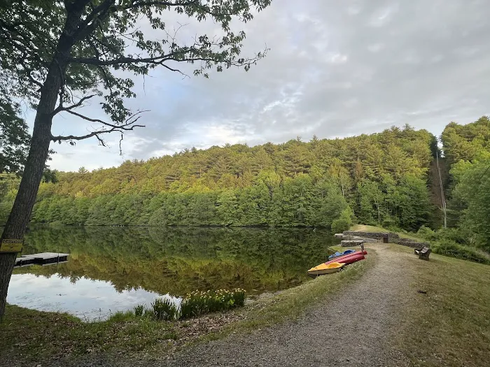 The Woods Camping Resort Picture 10