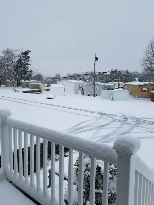 Cape May Landing Picture 1