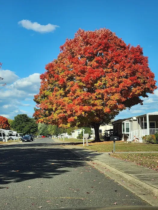 Silvermead Picture 10
