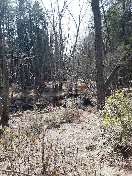 Pine Ridge at Crestwood Picture 10