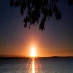 Rockledge Terrace dr