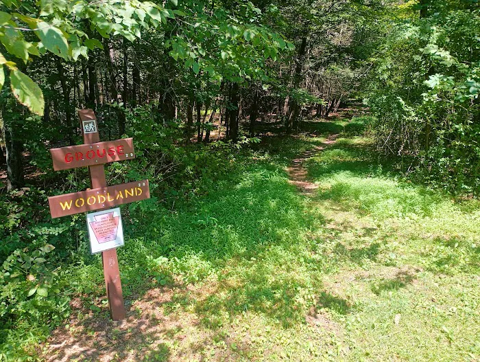 Maples Camping Area Picture 3