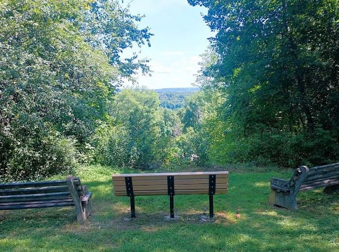 Maples Camping Area Picture 2