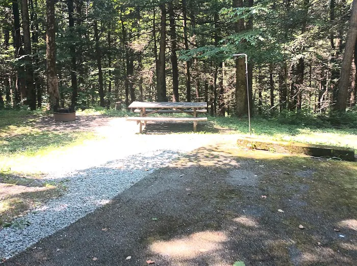 Maples Camping Area Picture 1
