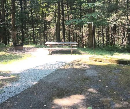 Maples Camping Area