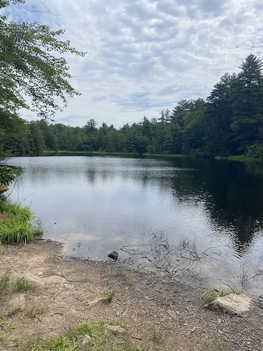 Hickory Run State Park Camping Area Picture 5