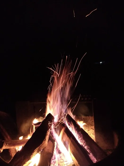 Hickory Run State Park Camping Area Picture 4