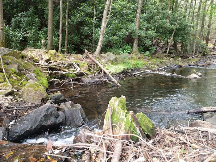 Hickory Run State Park Camping Area Picture 9