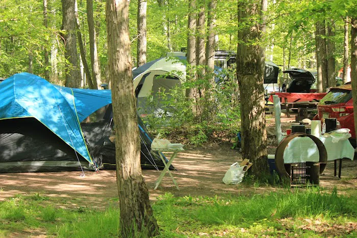 Hickory Run State Park Camping Area Picture 10
