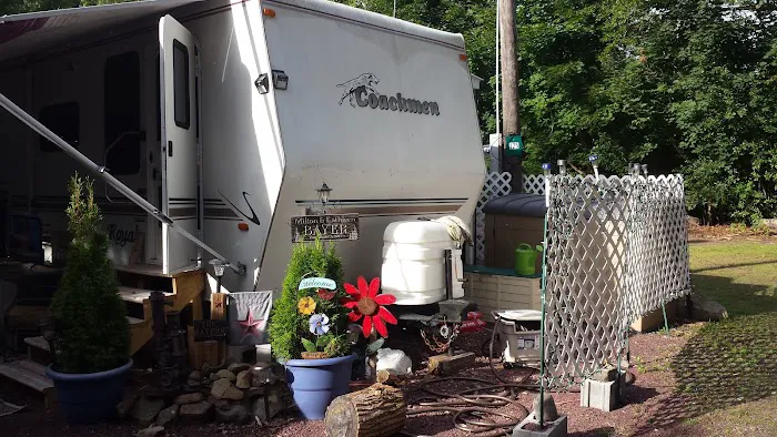 Lehigh Gorge Campground Picture 6