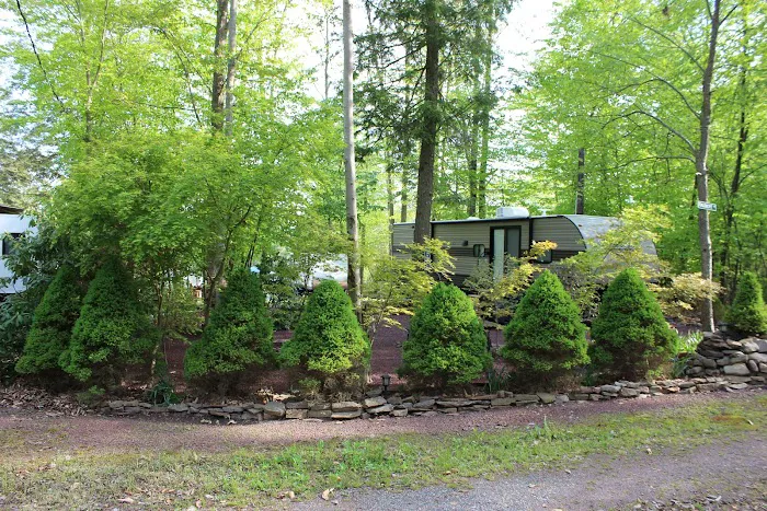 Lehigh Gorge Campground Picture 5