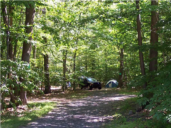 Lehigh Gorge Campground Picture 9