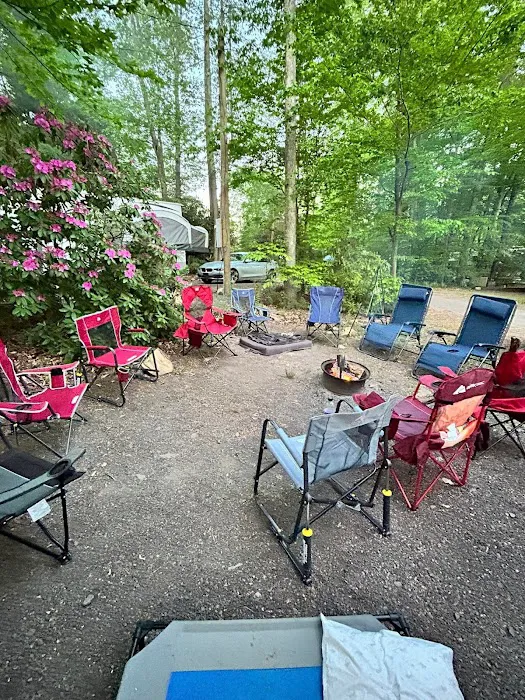Lehigh Gorge Campground Picture 1