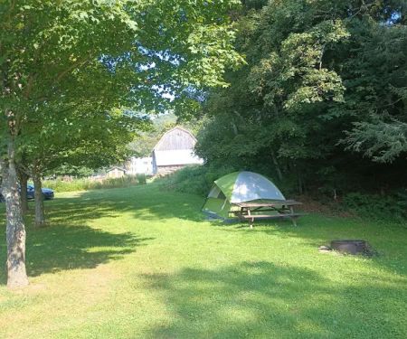 Salt Springs State Park West Meadow Camping Area