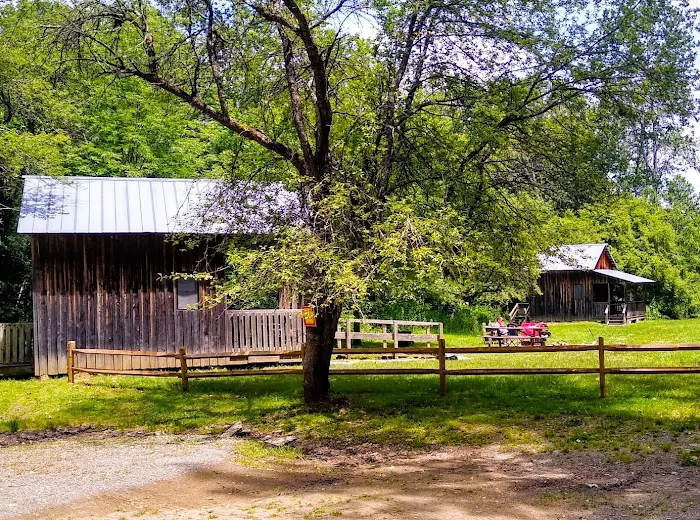 Camping Area Picture 6
