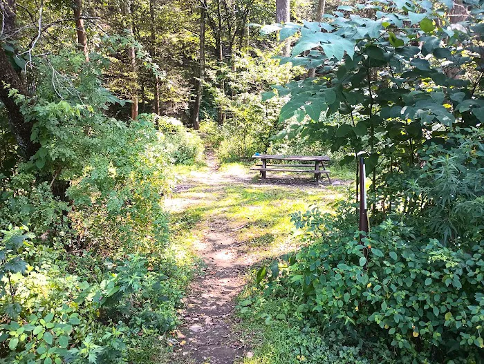 Camping Area Picture 5