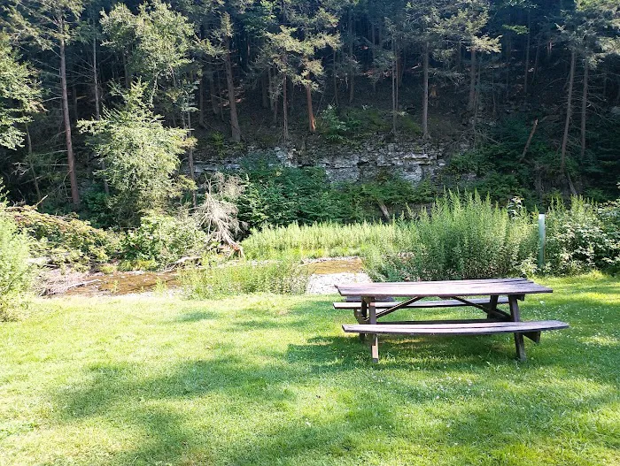 Camping Area Picture 3