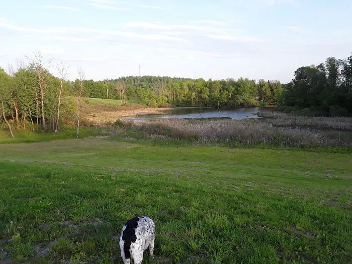 Montrose Campground Picture 8
