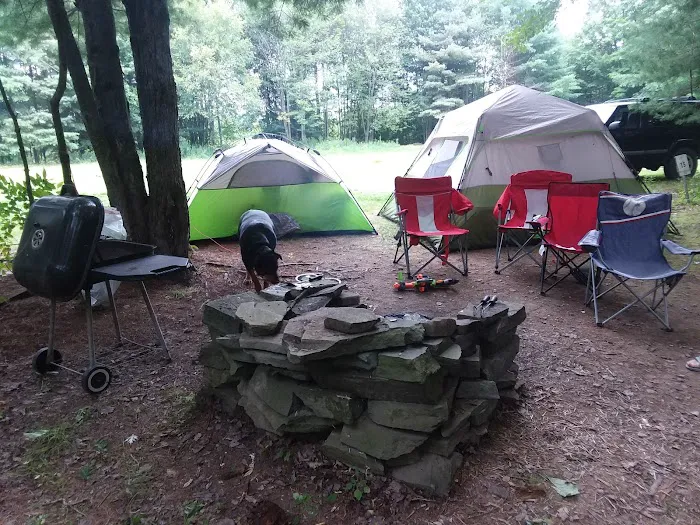 Montrose Campground Picture 5