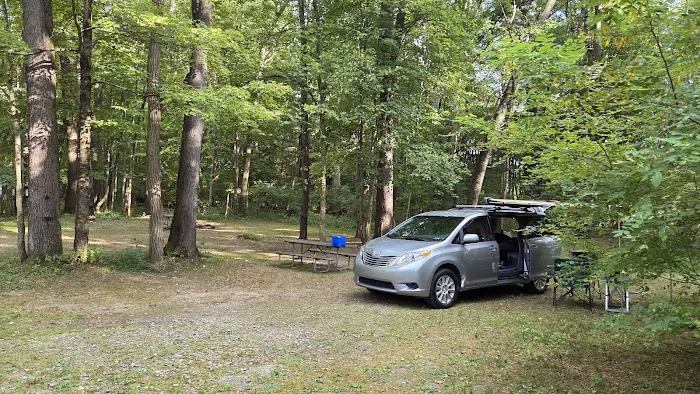 Chipmunk Bluff Camping Area Picture 2