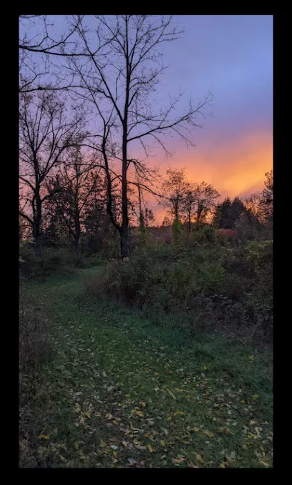 Pooh’s Corner Picture 7