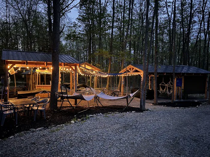 OFF THE BEATEN PATH OF WATKINS GLEN Campground Picture 10
