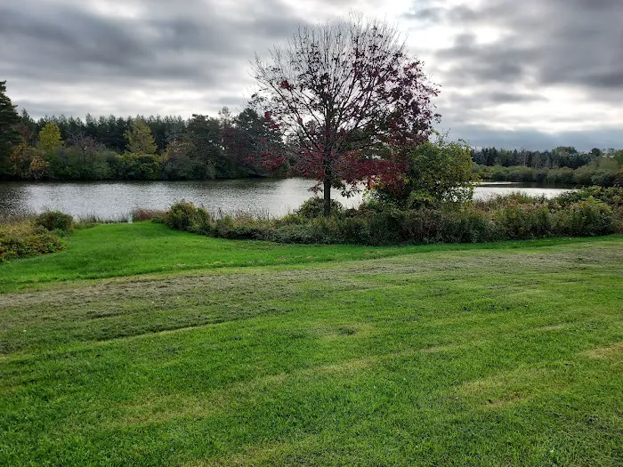 Paradise Park Campground Picture 4