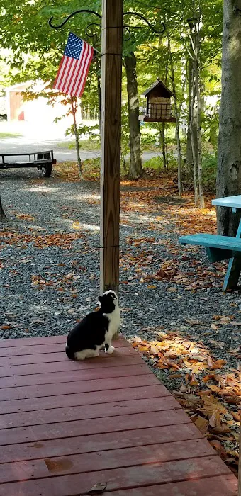 Paradise Park Campground Picture 9